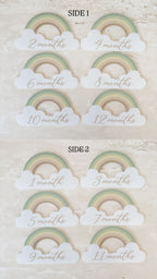Rainbow Baby Milestone Collection