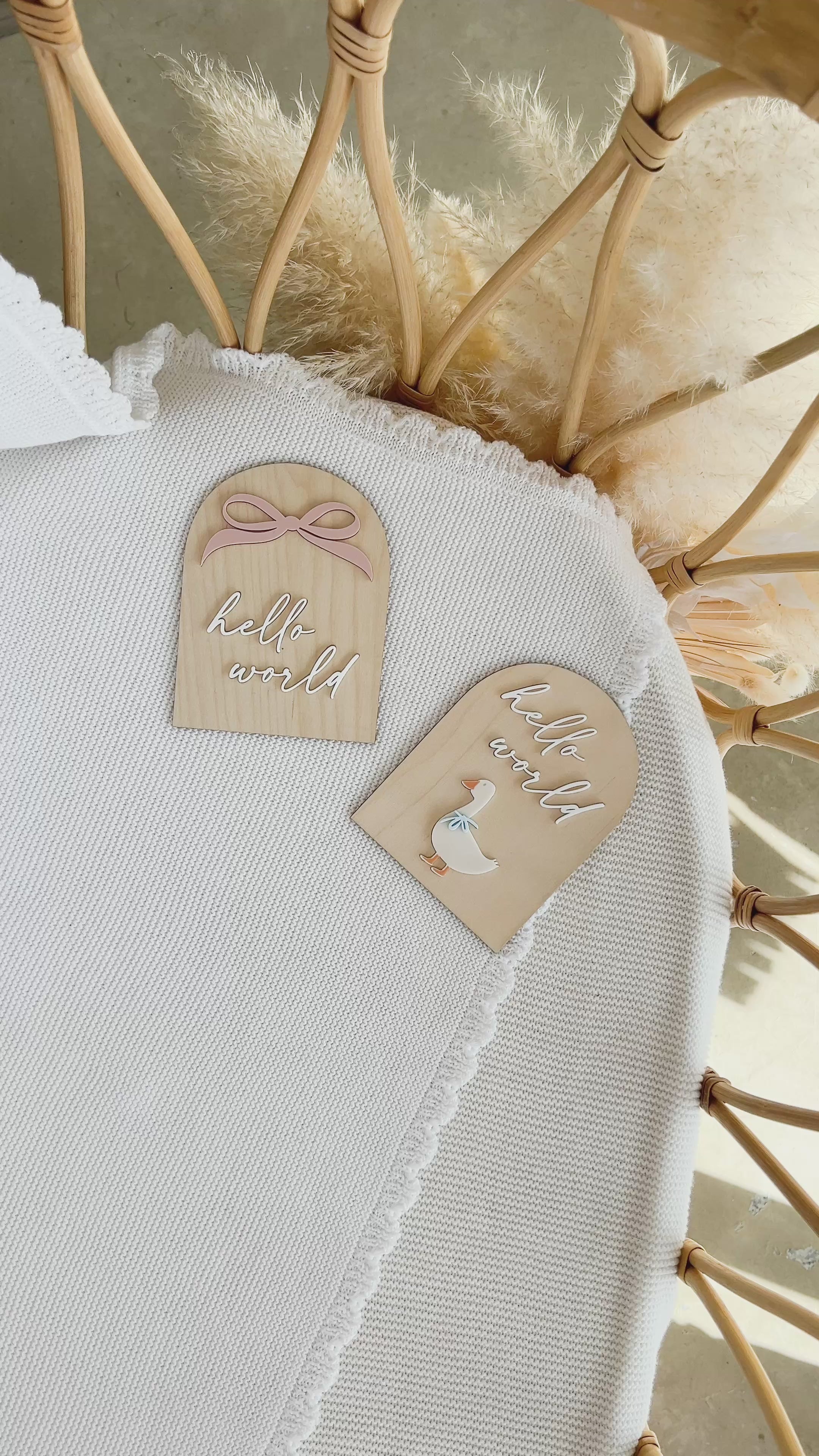 Hello World' Goose Plaque